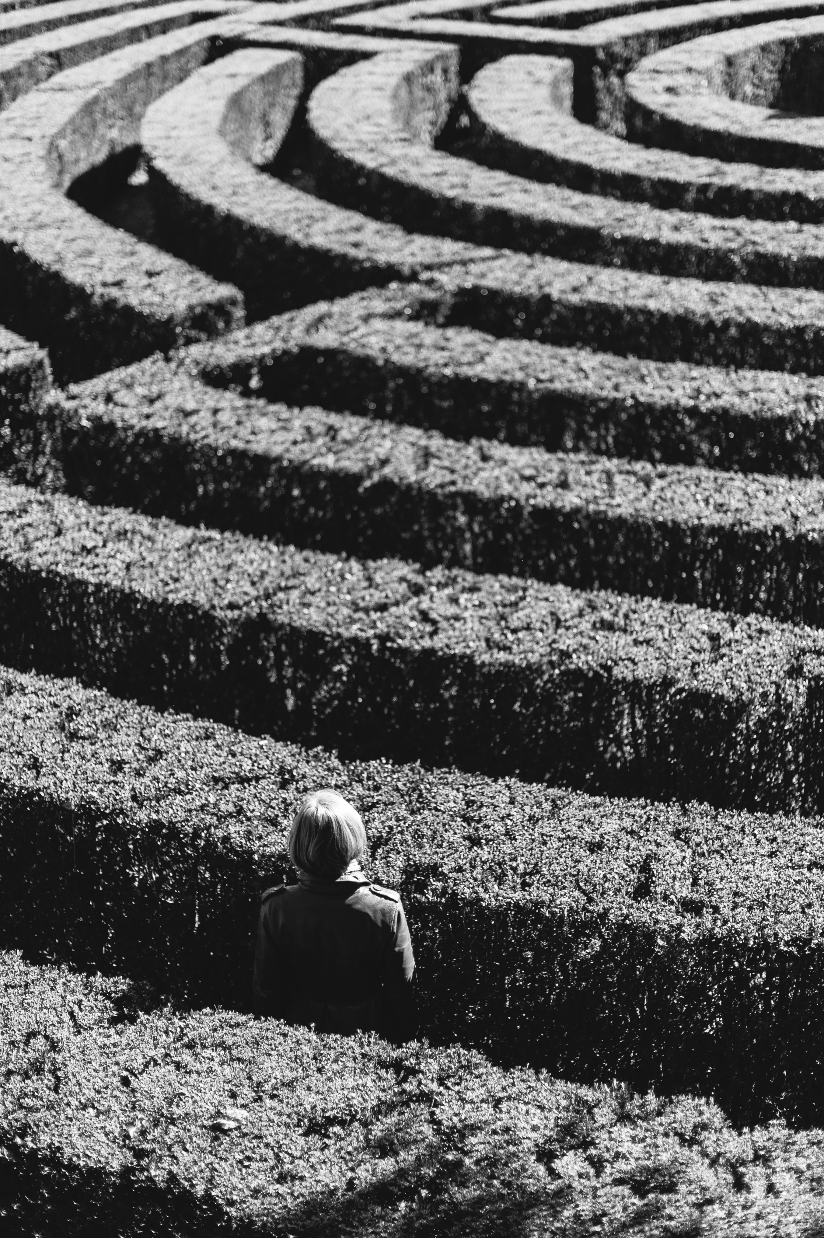 Life's maze.