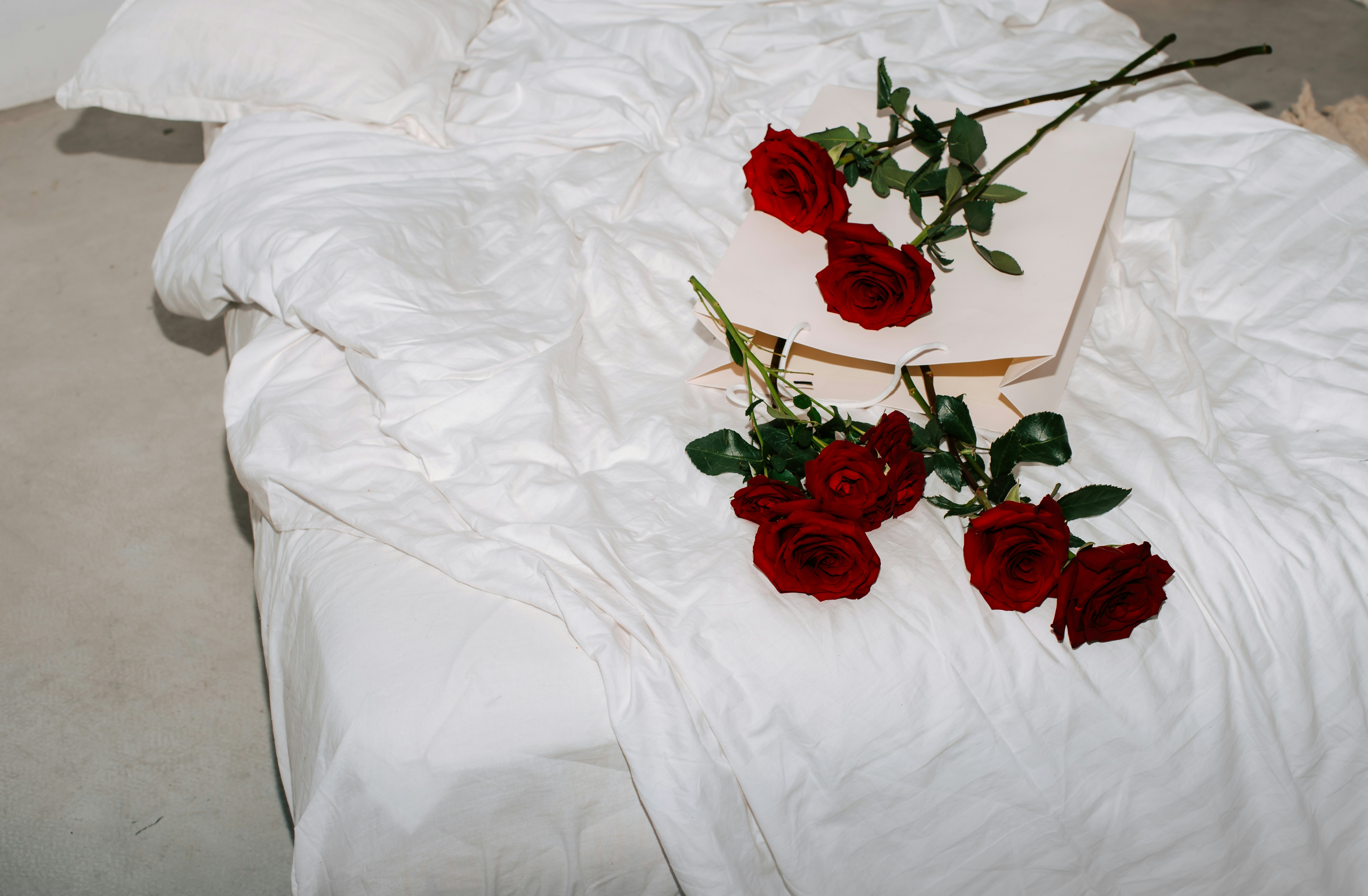 A bed of roses.